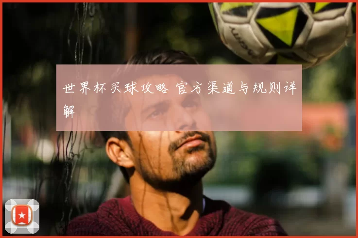 世界杯买球攻略 官方渠道与规则详解