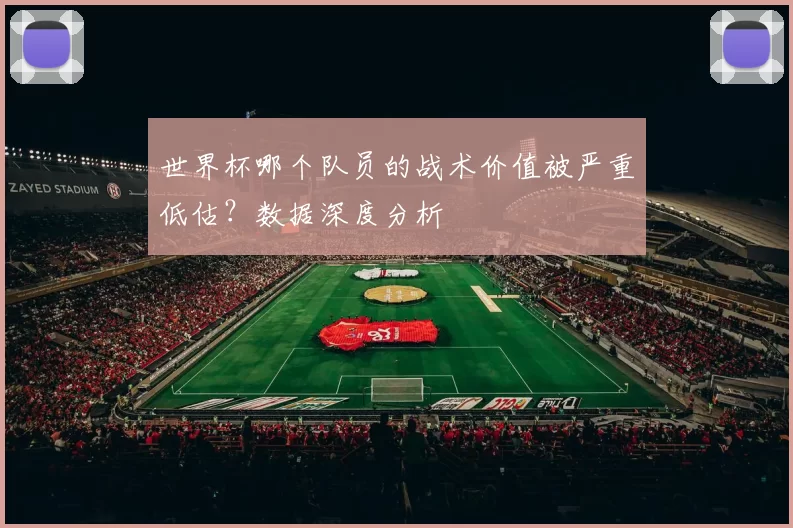 世界杯哪个队员的战术价值被严重低估？数据深度分析