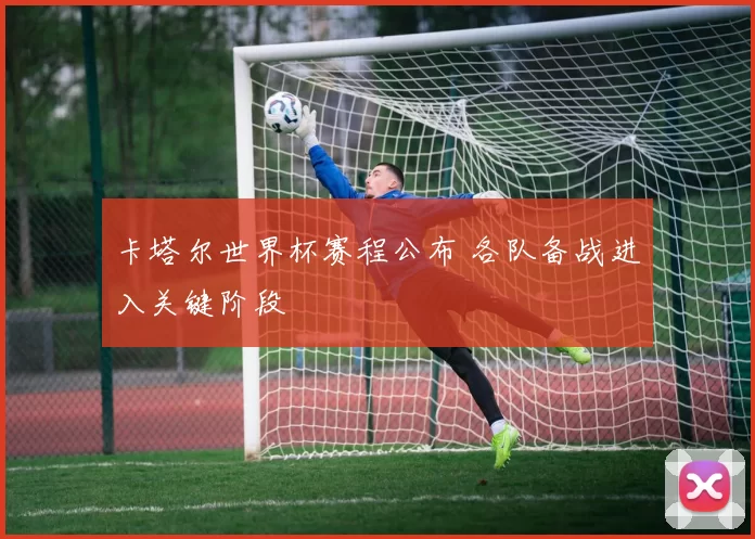 卡塔尔世界杯赛程公布 各队备战进入关键阶段