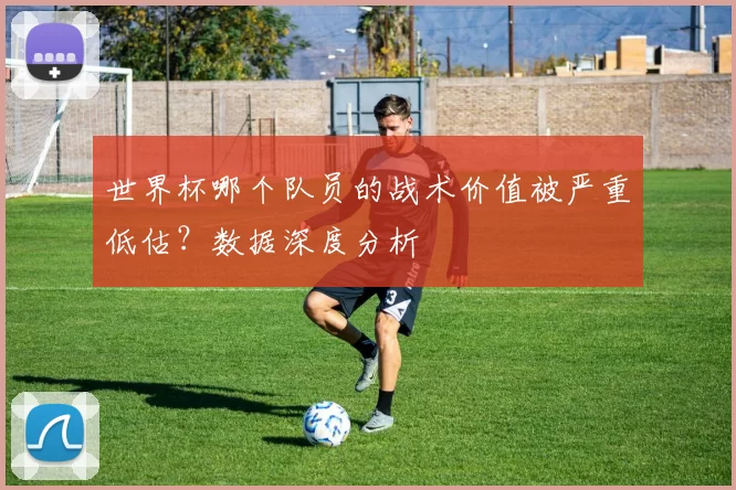 世界杯哪个队员的战术价值被严重低估？数据深度分析